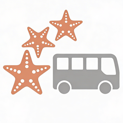 Vieques Island Tours & Transportation